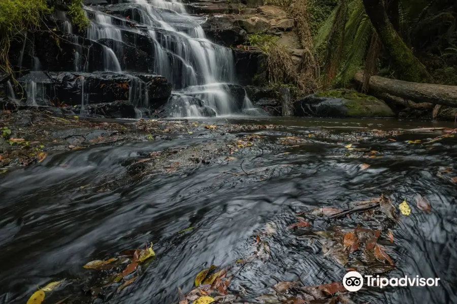 Cora Lynn Cascades Walk