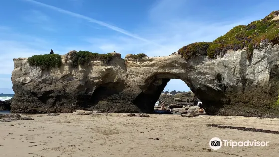Lighthouse Field State Beach