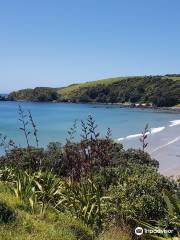 Tawharanui Regional Park