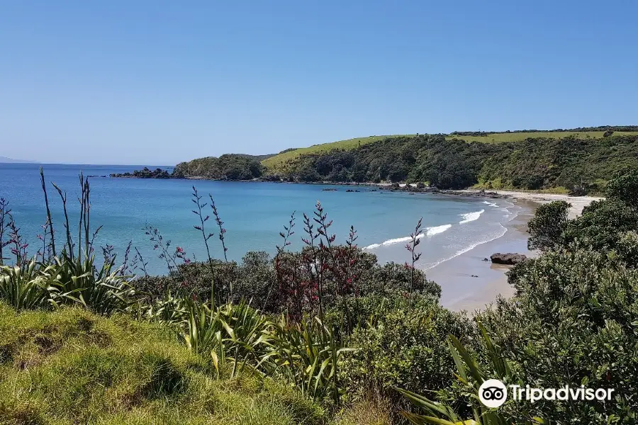 Tawharanui Regional Park