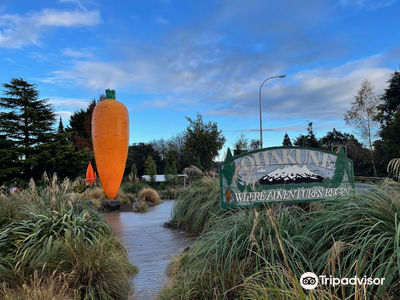 Ohakune Carrot Mennesson Adventure Park