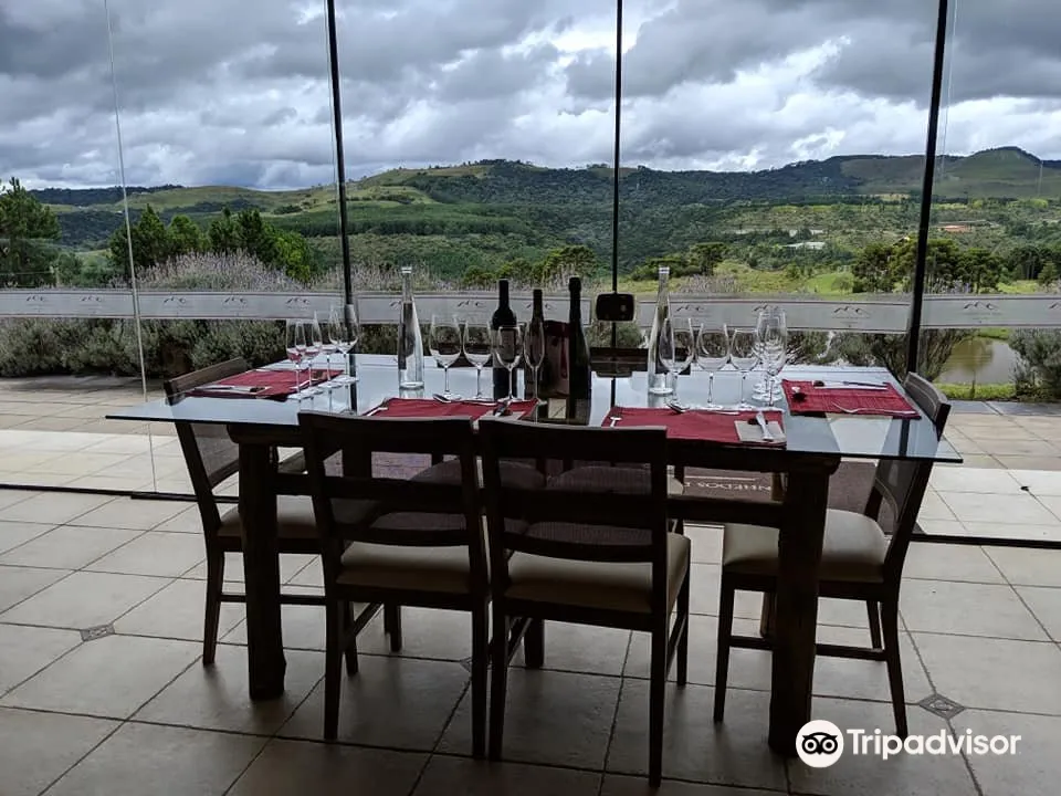 2_Vinhedos do Monte Agudo