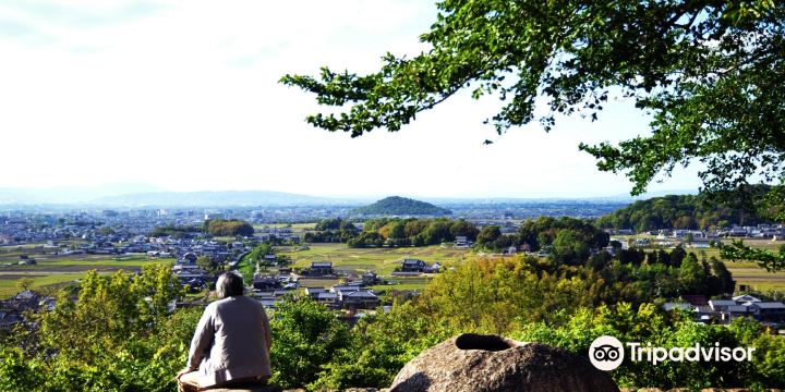 甘樫丘