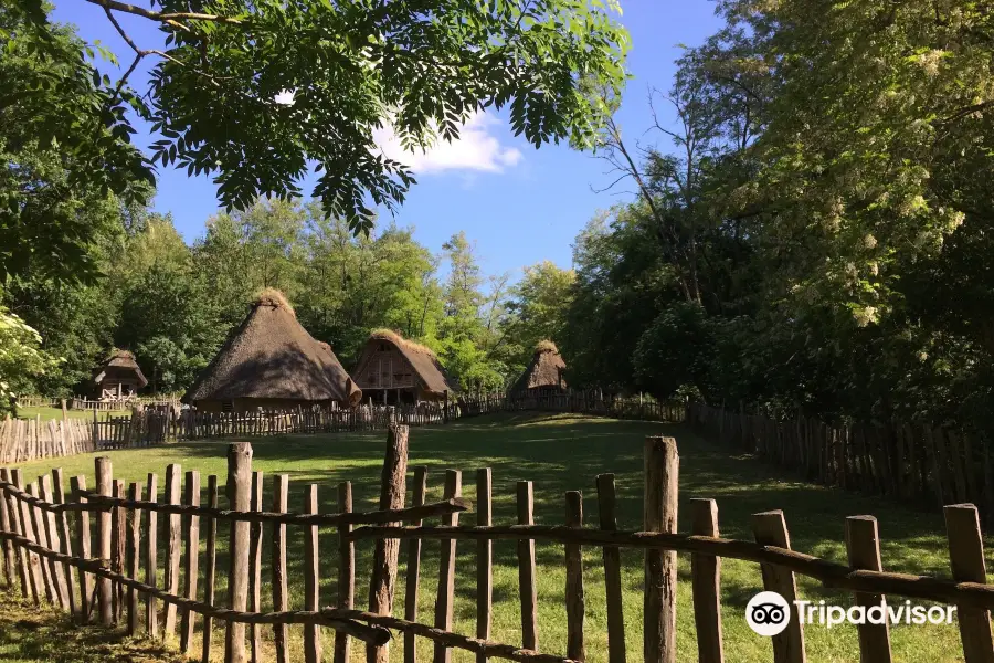 Village Gaulois - Archeosite