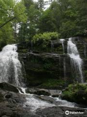 Chattahoochee National Forest