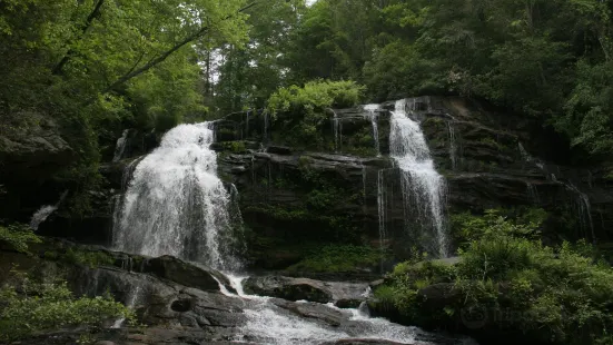 Chattahoochee National Forest