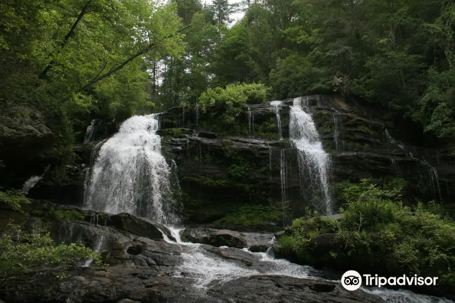 Chattahoochee National Forest