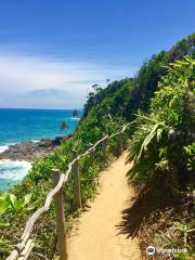 Prainha Beach