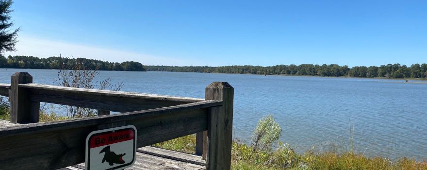 Florence Marina State Park