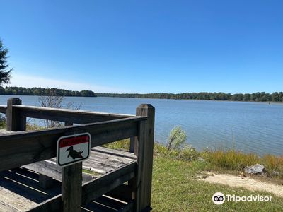 Florence Marina State Park