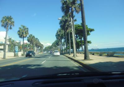 Avenida George Washington