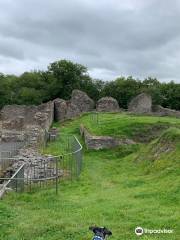 Dolforwyn Castle