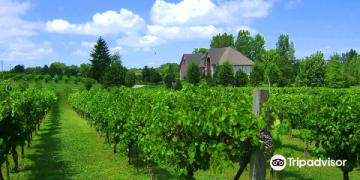 Valentino Vineyards