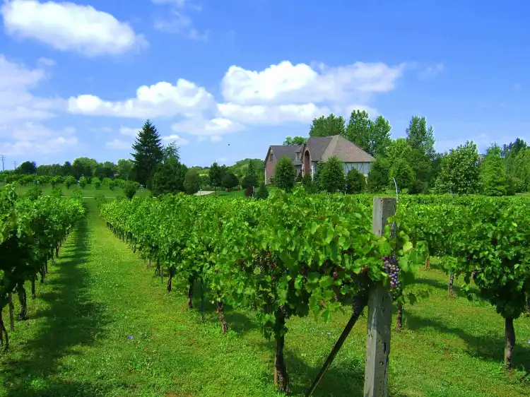 Hôtels à : Long Grove
