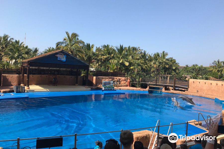 德班烏沙卡水底世界水族館