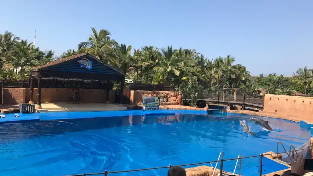 uShaka Marine World