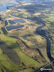 RSPB Fairburn Ings