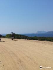 Skiathos Mountain Bikes