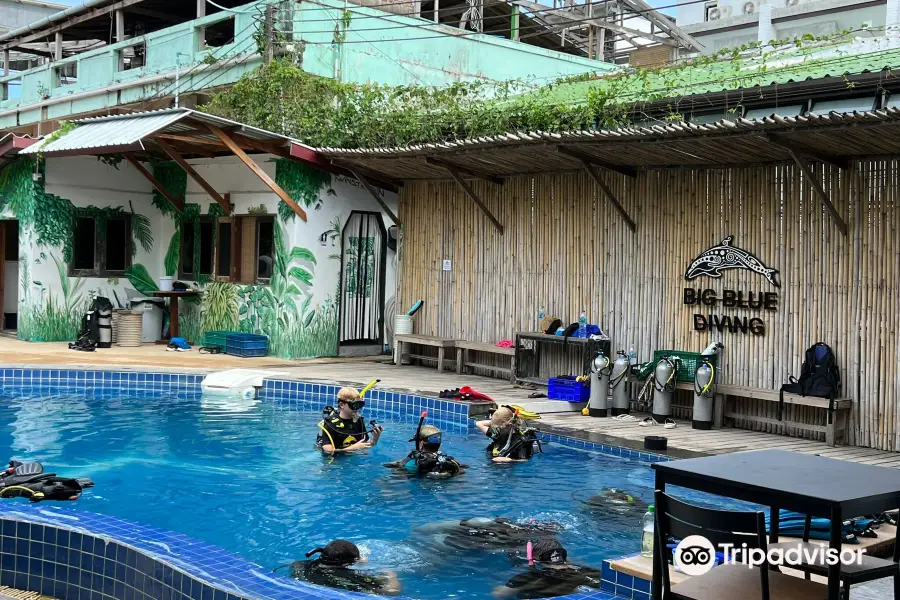 Big Blue Diving School Koh Tao, Thailand
