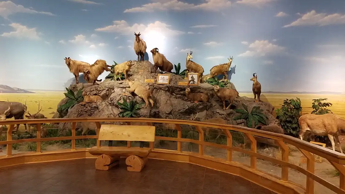 Hotels near Cabela's