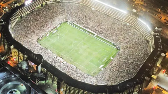 Estadio Monumental U