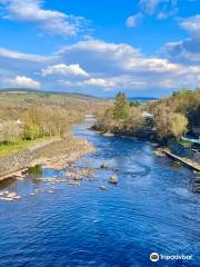 Pitlochry Dam Power Station And Fish Ladder