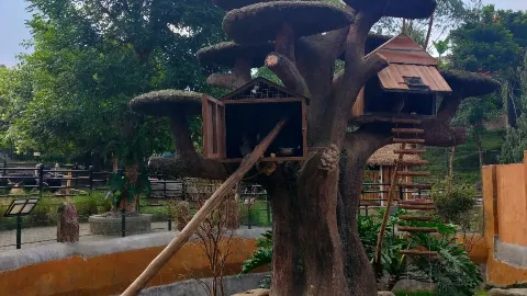 Lembang Park & Zoo attraction in West Java