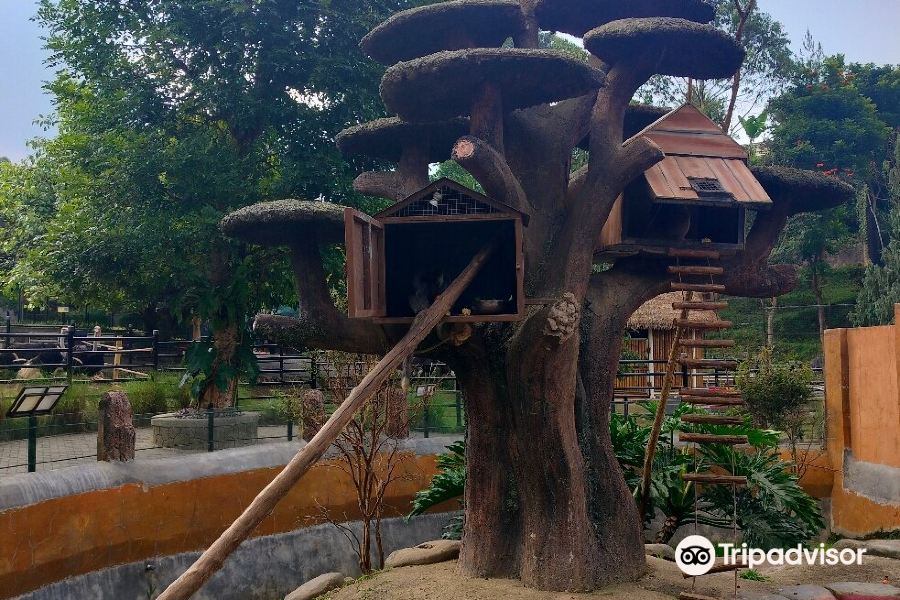 Lembang Park & Zoo