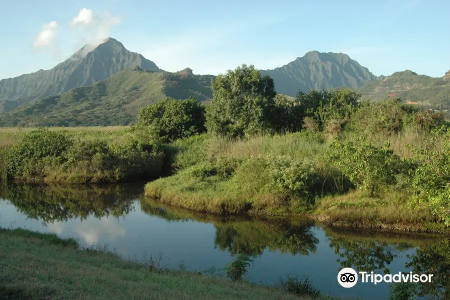 Segway Of Hawaii-Kailua