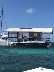 Reef Runner Glass Bottom Boat