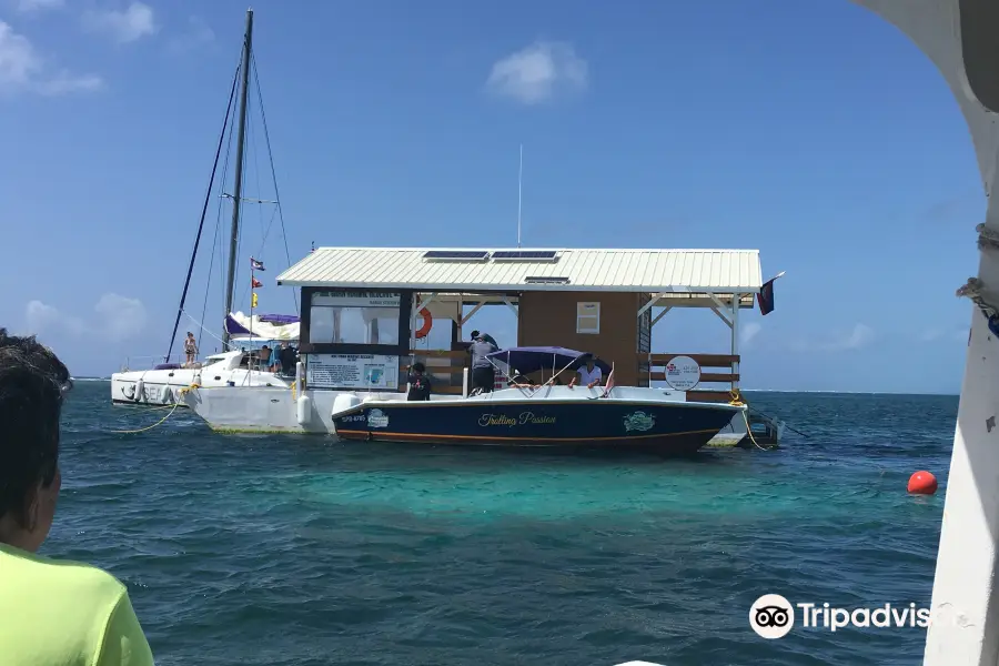 Reef Runner Glass Bottom Boat