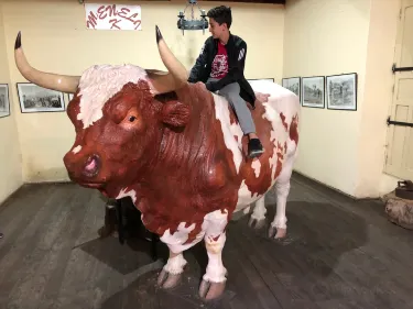 José Luis Bustamante District