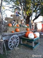 Walden Pumpkin Farm