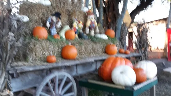 Walden Pumpkin Farm