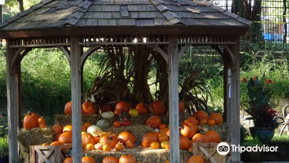 Grapevine Botanical Garden at Heritage Park