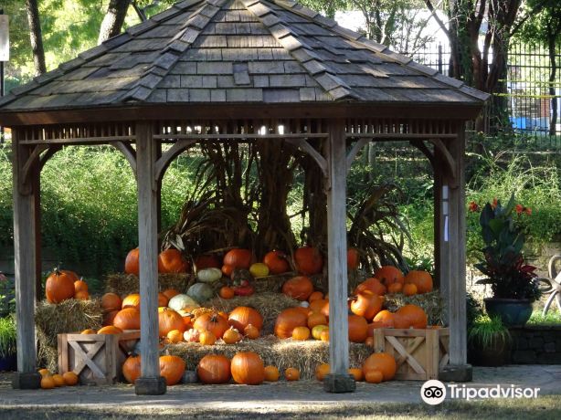 Grapevine Botanical Garden at Heritage Park