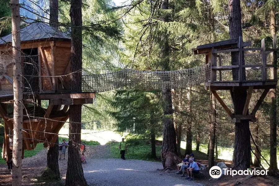 Stubai Tree House Trail