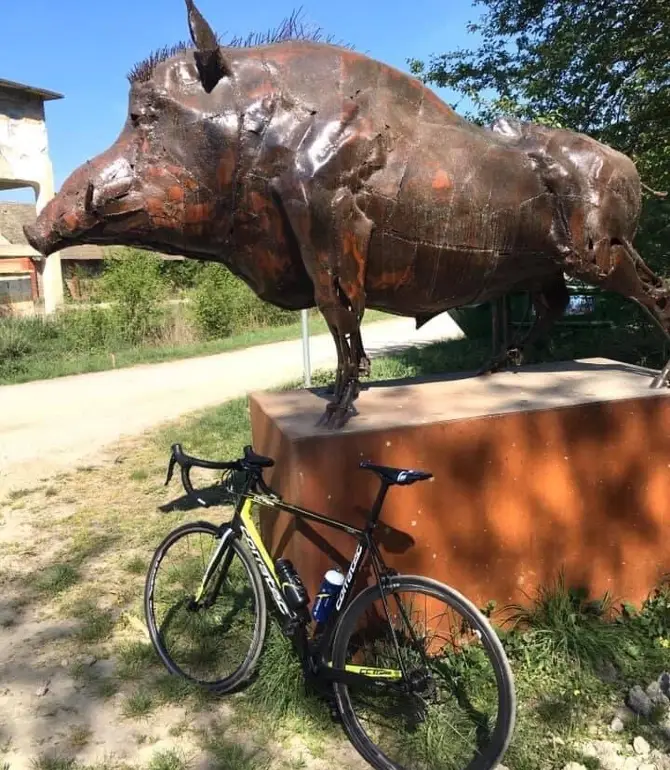 Opcina Bilje