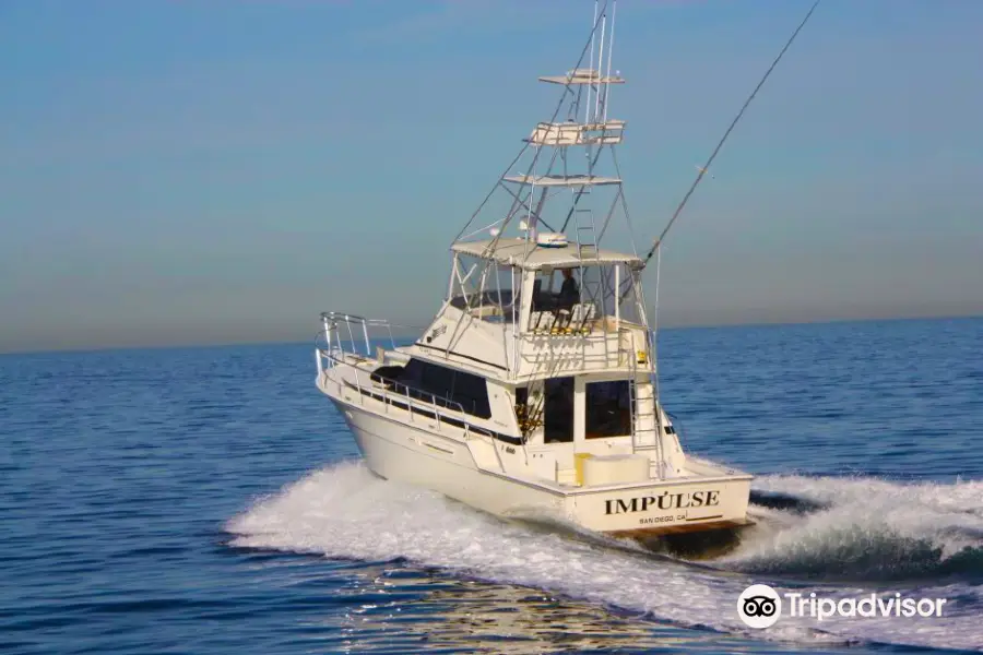 Impulse Sportfishing Charter
