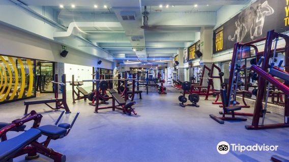 Cynergi Healt & Fitness Club