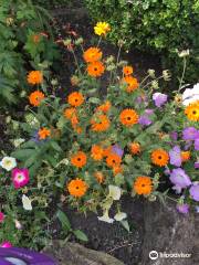 The Lindisfarne Gospel Garden