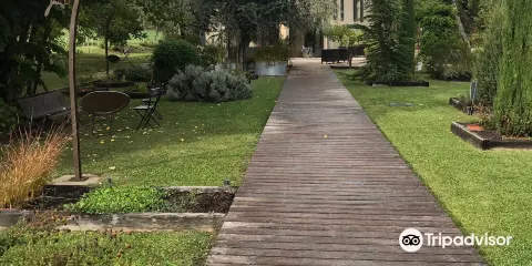 Institut des Huiles Essentielle