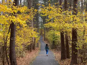 Claytor Lake State Park