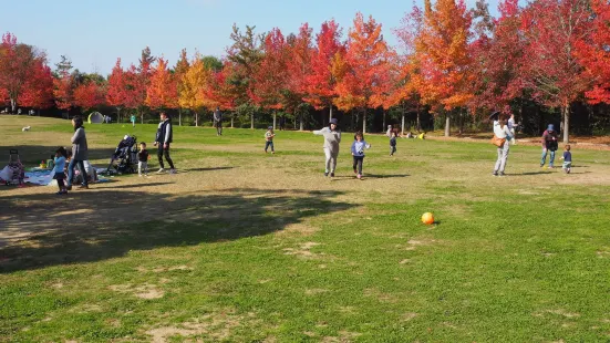 Mikiyama Forest Park