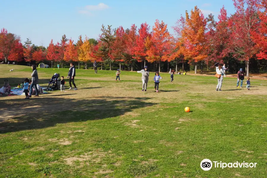 Hyogo Prefectural Mikiyama Forest Park