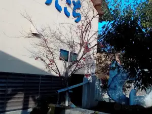 Yumegokochi