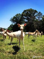 Santa Rosa Ranch