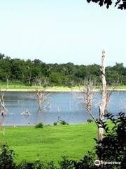 Truman Lake Mountain Bike Park & Hiking Area