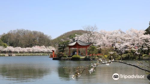 Ueno Park