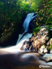 Campbell Falls State Park